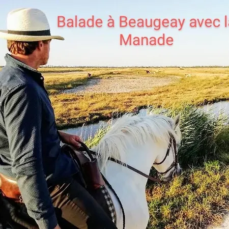 Du Figuier *