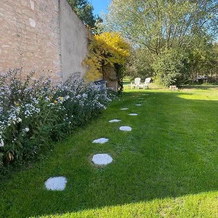 Du Figuier